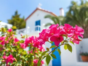 ile trwa koncert sanah