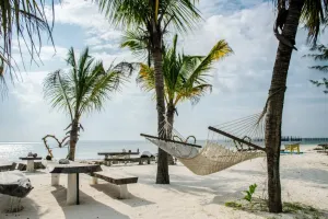 Kiedy najlepiej jechać na Zanzibar? Przewodnik po sezonach